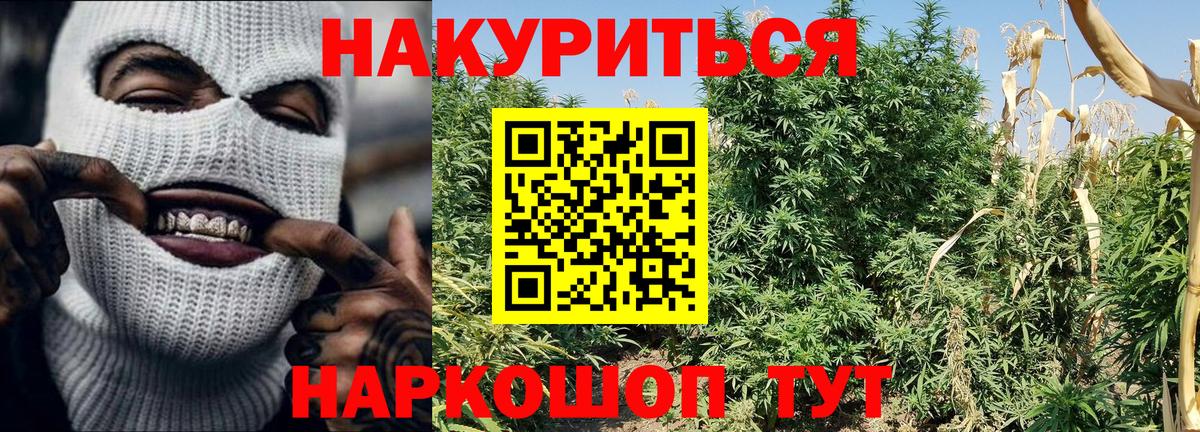 Конопля Ganja  Вход с VPN  МАРИХУАНА Bruce Banner  Марихуана Bruce Banner  Каннабис марихуана  Реутов 